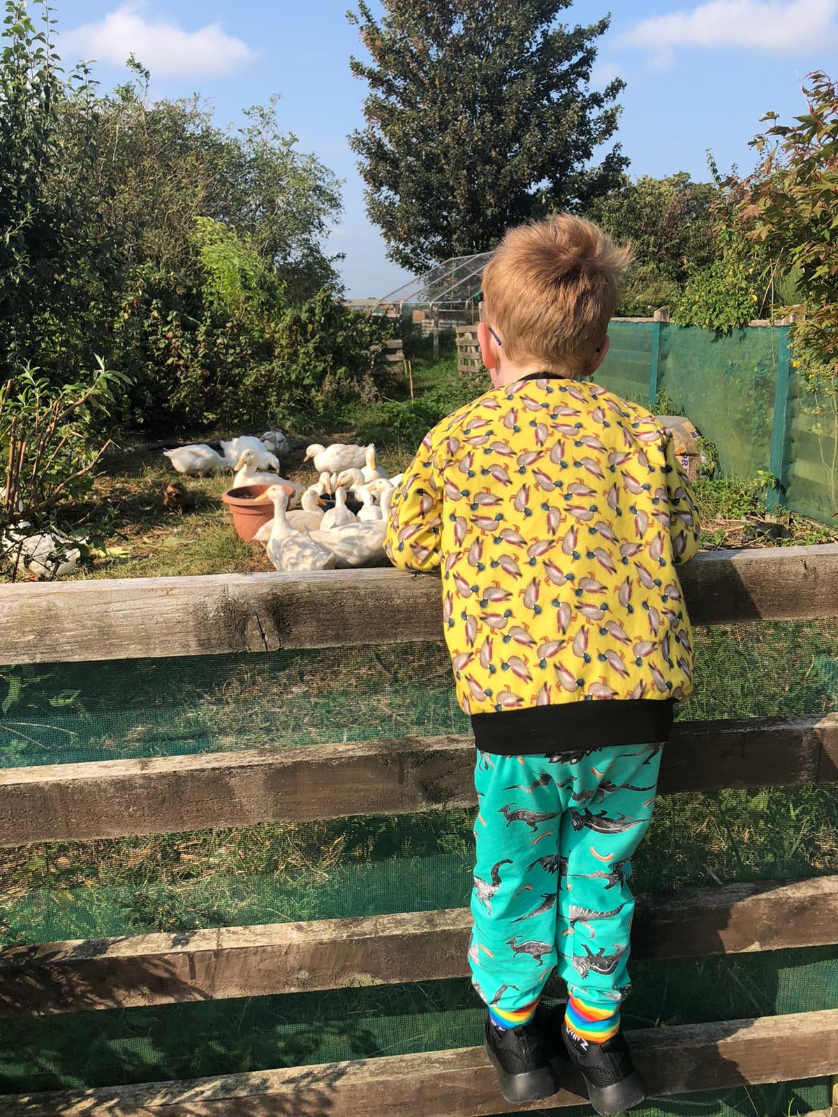 Kids Slim Fit Harems