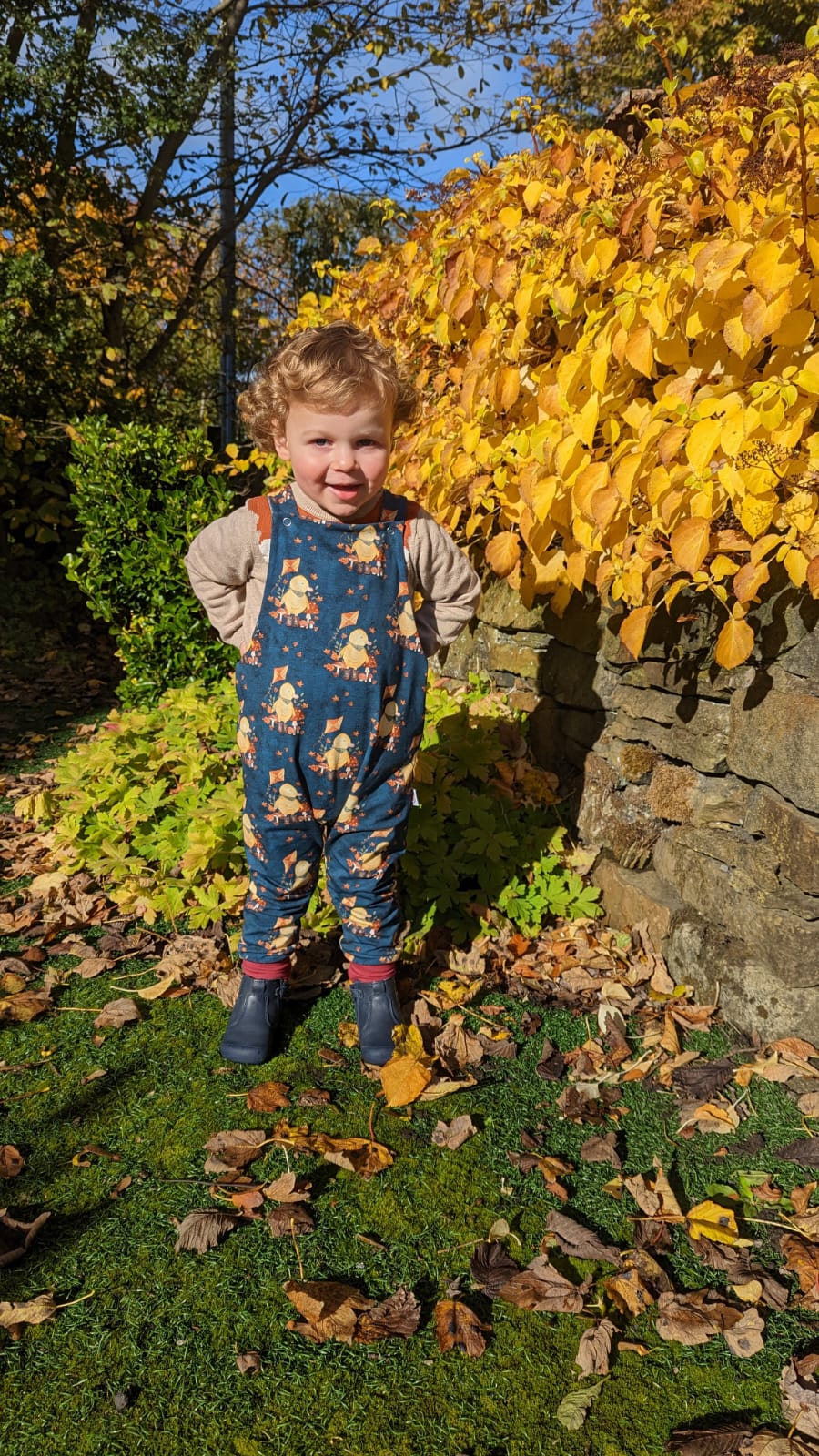 Kids Dungarees