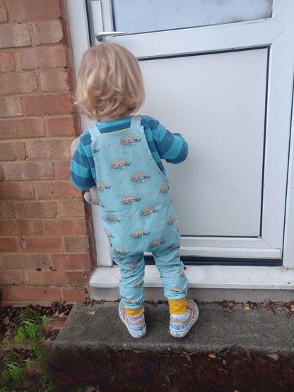 Kids Dungarees